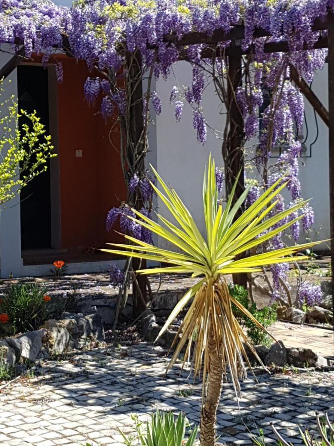Casa Oliviera Bed & Breakfast Moncarapacho Bagian luar foto